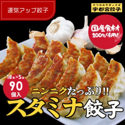 宇都宮餃子 運気アップ餃子　ニンニクマシマシスタミナ餃子90個　保存料不使用