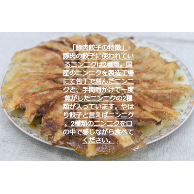 宇都宮餃子 運気アップ餃子　ニンニクマシマシスタミナ餃子100個　保存料不使用