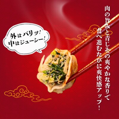 宇都宮餃子 運気アップ餃子香り鮮やか青じそ鶏餃子90個　保存料不使用