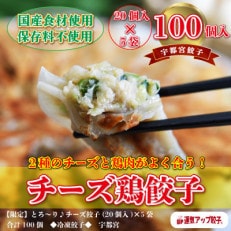 【2023年2月中旬発送】宇都宮餃子 チーズ鶏餃子100個 保存料不使用