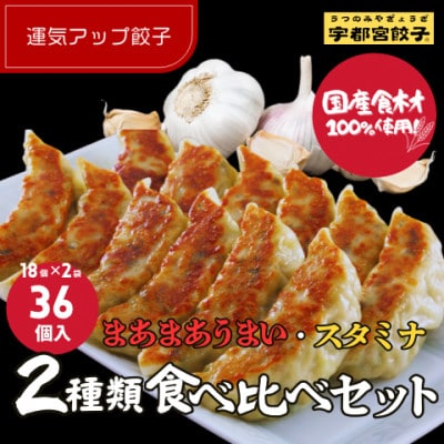 宇都宮餃子 運気アップ餃子2種類味比べ(合計36個)