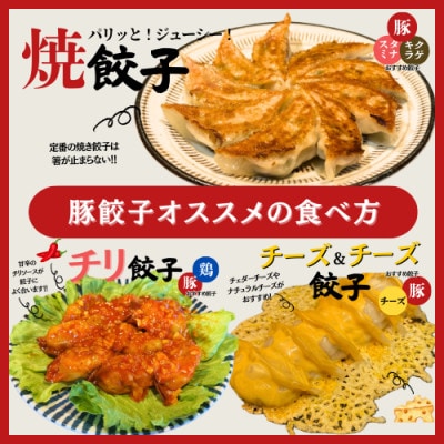 宇都宮餃子 運気アップ餃子2種類味比べ(合計36個)