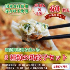 【2023年2月上旬発送】宇都宮餃子 鶏餃子 3種類味比べ(合計60個)保存料不使用