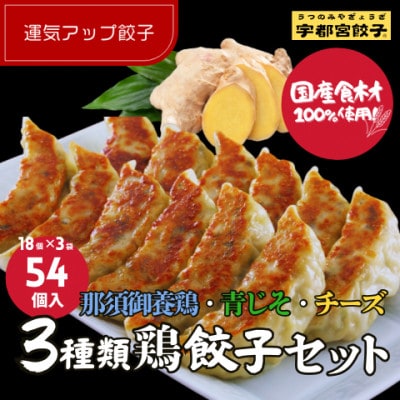 宇都宮餃子 運気アップ餃子　鶏餃子　3種類味比べ(合計54個)保存料不使用
