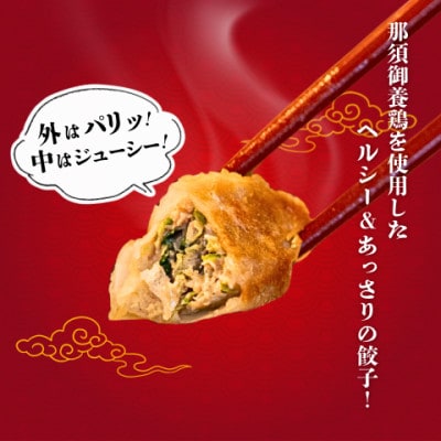 宇都宮餃子 運気アップ餃子　鶏餃子　3種類味比べ(合計54個)保存料不使用