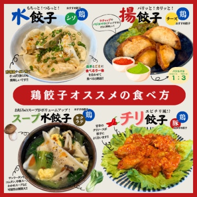 宇都宮餃子 運気アップ餃子　鶏餃子　3種類味比べ(合計54個)保存料不使用