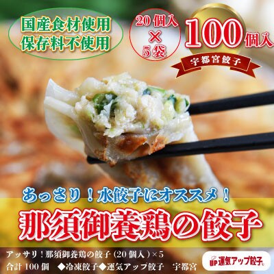 【2023年2月下旬発送】宇都宮餃子　那須御養鶏の餃子100個　保存料不使用