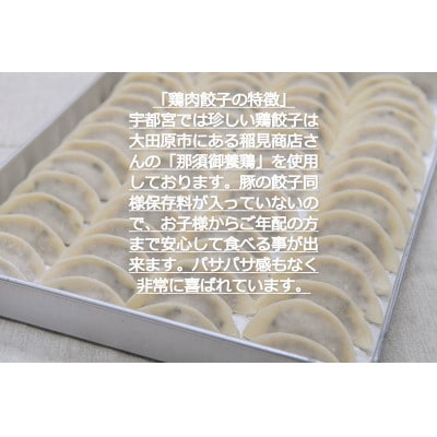 宇都宮餃子 運気アップ餃子　那須御養鶏の餃子100個　保存料不使用