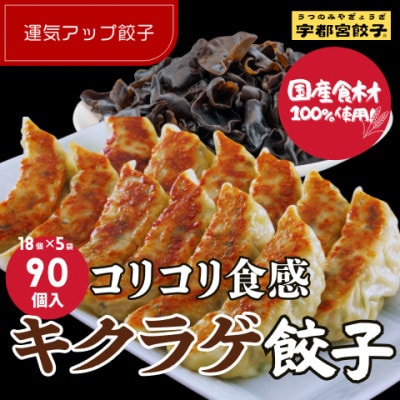 宇都宮餃子 運気アップ餃子ちょう×3いい感じ餃子　合計90個　保存料不使用