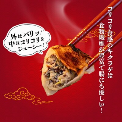 宇都宮餃子 運気アップ餃子ちょう×3いい感じ餃子　合計90個　保存料不使用