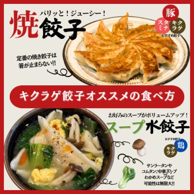 宇都宮餃子 運気アップ餃子ちょう×3いい感じ餃子　合計90個　保存料不使用