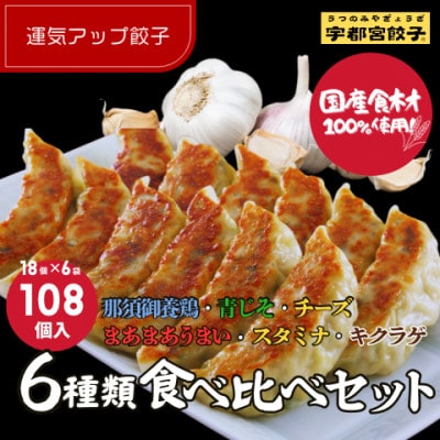 宇都宮餃子 運気アップ餃子　6種類味比べ(合計108個)　保存料不使用