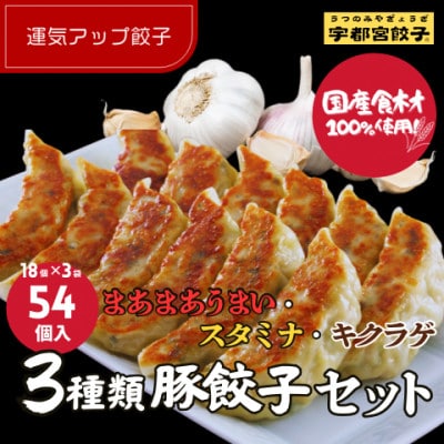 宇都宮餃子 運気アップ餃子豚餃子3種類(合計54個)　保存料不使用