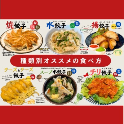 宇都宮餃子 運気アップ餃子豚餃子3種類(合計54個)　保存料不使用