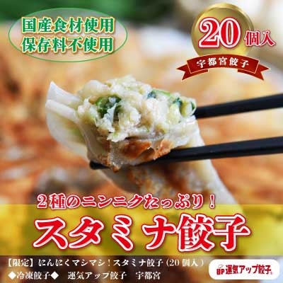 【2023年3月中旬発送】宇都宮餃子　スタミナ餃子　保存料不使用