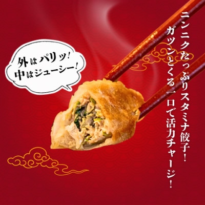 宇都宮餃子 運気アップ餃子　スタミナ餃子18個　保存料不使用