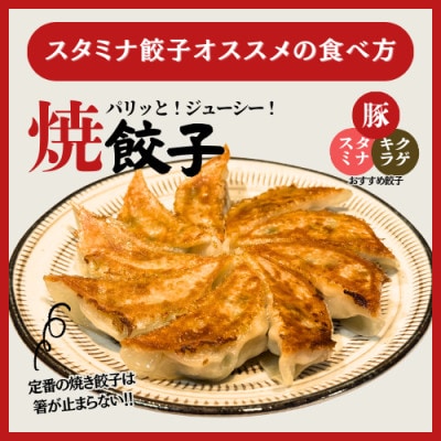 宇都宮餃子 運気アップ餃子　スタミナ餃子18個　保存料不使用