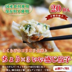 【2023年2月上旬発送】宇都宮餃子 ちょうX3いい感じ餃子 保存料不使用