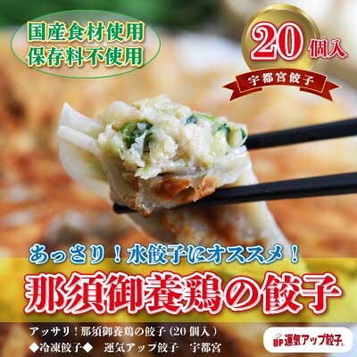 【2023年2月中旬発送】宇都宮餃子　那須御養鶏の餃子20個　保存料不使用