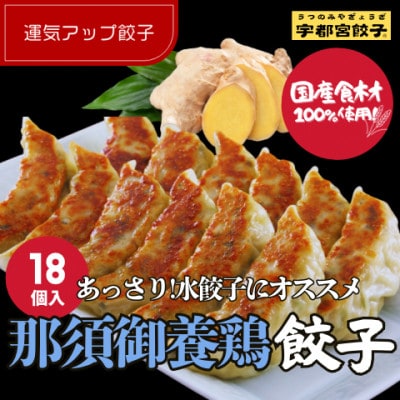 宇都宮餃子 運気アップ餃子　那須御養鶏の餃子18個　保存料不使用