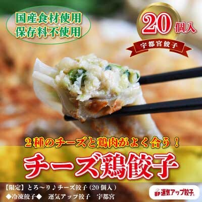 【2023年2月中旬発送】宇都宮餃子　チーズ鶏餃子20個　保存料不使用