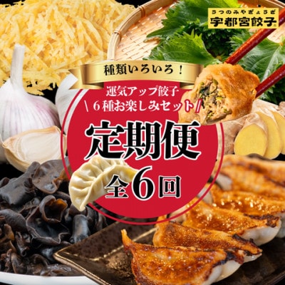 【毎月定期便】宇都宮餃子　運気アップ餃子6種お楽しみコース　(毎月1種・18個入り・冷凍)全6回