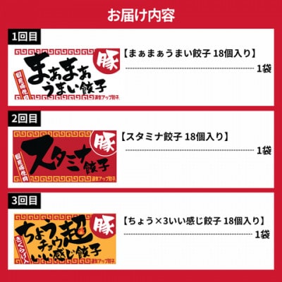 【毎月定期便】宇都宮餃子　運気アップ豚餃子3種お試しコース(毎月1種・18個入り・冷凍)全3回