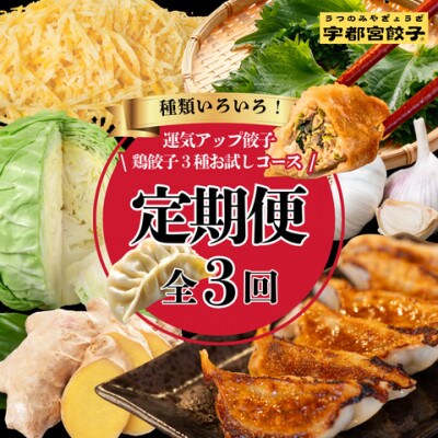 【毎月定期便】宇都宮餃子　運気アップ鶏餃子3種お試しコース(毎月1種・18個入り・冷凍)全3回