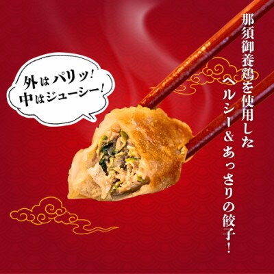 【毎月定期便】宇都宮餃子　運気アップ鶏餃子3種お試しコース(毎月1種・18個入り・冷凍)全3回