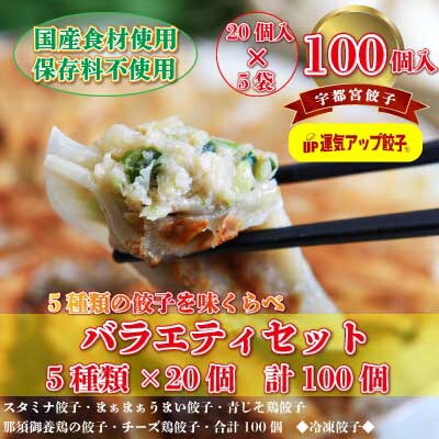 2023年8月発送開始『定期便』宇都宮餃子　5種類味比べ(合計100個)全12回