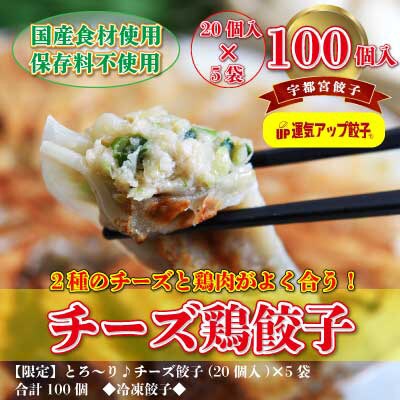 2023年11月発送開始『定期便』宇都宮餃子　チーズ鶏餃子100個 全12回