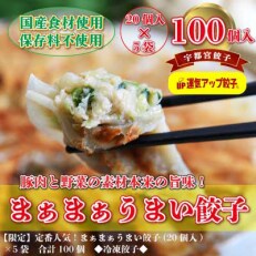 2023年7月発送開始『定期便』宇都宮餃子　まあまあウマイ餃子100個保存料不使用 全12回