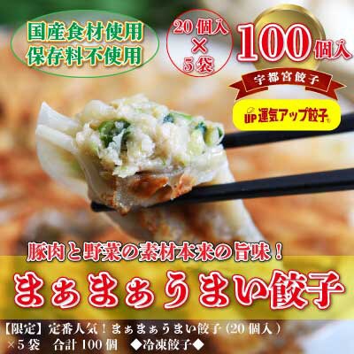 2023年12月発送開始『定期便』宇都宮餃子　まあまあウマイ餃子100個保存料不使用 全12回