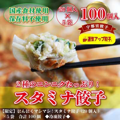 2023年11月発送開始『定期便』宇都宮餃子　ニンニクマシマシスタミナ餃子100個　全12回