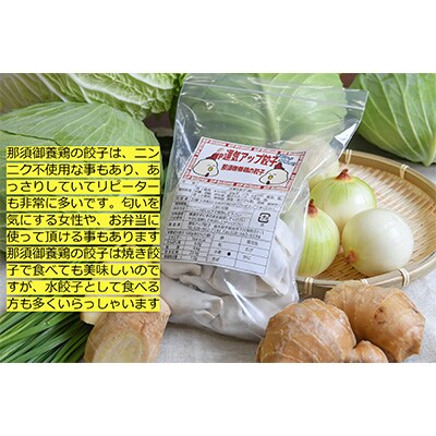 2023年5月発送開始『定期便』宇都宮餃子　鶏餃子3種類味比べ(合計60個)保存料不使用　全12回
