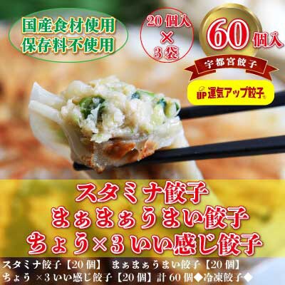 2023年8月発送開始『定期便』宇都宮餃子　豚餃子3種類(合計60個)　保存料不使用全12回