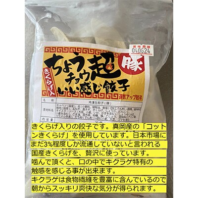 2023年8月発送開始『定期便』宇都宮餃子　豚餃子3種類(合計60個)　保存料不使用全12回