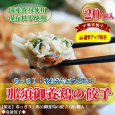 2023年10月発送開始『定期便』宇都宮餃子 那須御養鶏の餃子20個 保存料不使用全12回