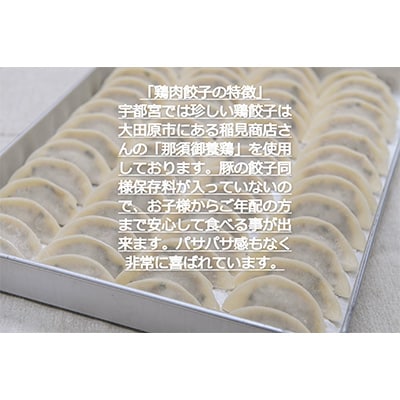 2023年6月発送開始『定期便』宇都宮餃子　那須御養鶏の餃子20個　保存料不使用全12回