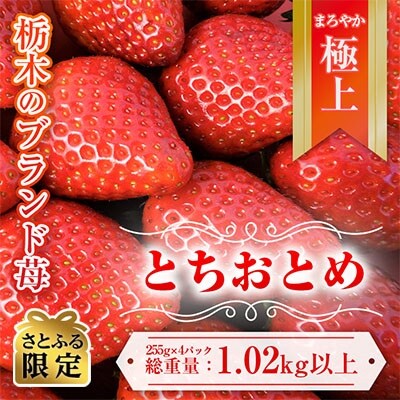 【さとふる限定】2022年1月より発送 甘～い とちおとめ 約255g×4パック