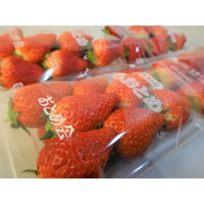 【さとふる限定】2022年1月より発送 甘～い とちおとめ 約255g×4パック
