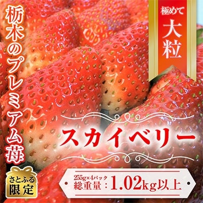 【さとふる限定】令和4年1月中旬より発送「スカイベリー」約255g以上×4パック
