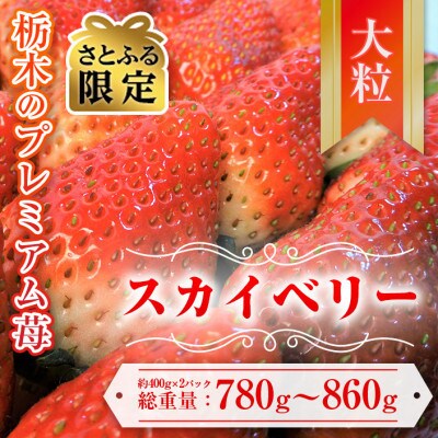 【さとふる限定】令和7年1月中旬より順次発送予定「スカイベリー」約390g～430g×2パック