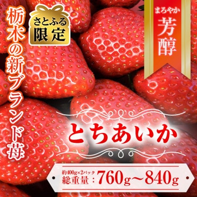 【さとふる限定】令和7年1月中旬より順次発送予定「とちあいか」380～420g×2パック