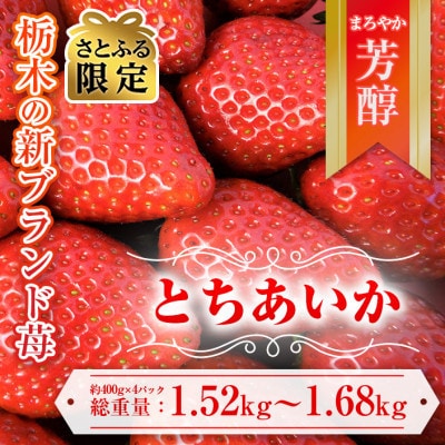 【さとふる限定】令和7年1月中旬より順次発送予定「とちあいか」380～420g×4パック
