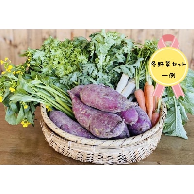 栃木県宇都宮市産　栽培期間中農薬・化学肥料不使用　季節のお野菜詰め合わせ