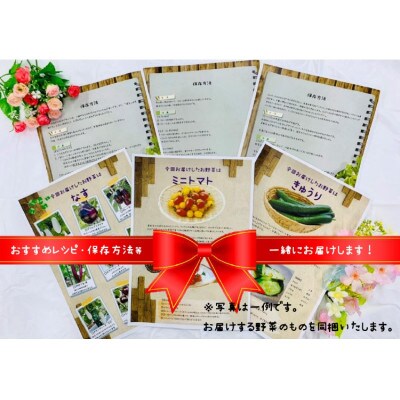 【栃木県宇都宮市産】栽培期間中農薬・化学肥料不使用　季節のお野菜詰め合わせ