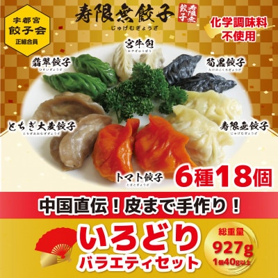 宇都宮餃子 寿限無 餃子のいろどりバラエティセット(6種×各3個・計18個入り)