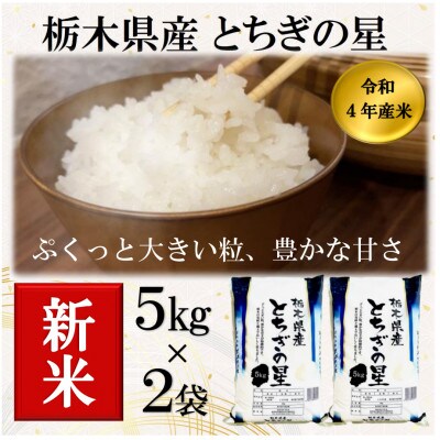 新米【令和4年産】栃木県産とちぎの星(精米)5kg×2袋