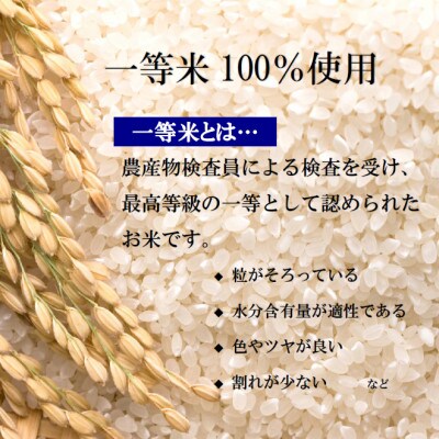 【2023年3月下旬発送】【令和4年産】栃木県産とちぎの星(精米)5kg×1袋